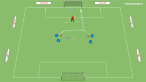 artykuły 2v1 z Trenerem