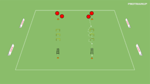artykuły Moc + szybkość (drabinka koord.)
