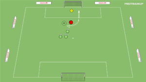 artykuły 1v1 z Trenerem