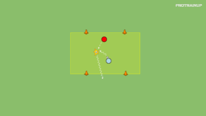 artykuły 1v1 – złap mnie (akcent na odbiór piłki)