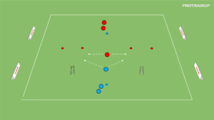artykuły Akcent motoryczny szybkość i zwinność