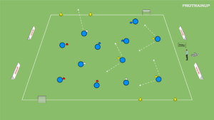 artykuły Berek kolory z elementami dryblingu