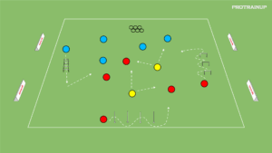artykuły Berek + kształtowanie wzorców ruchowych