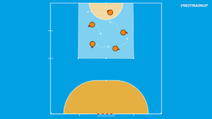 artykuły Lisy i gęsi