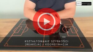 artykuły Kształtowanie szybkości (reakcja) + koordynacja