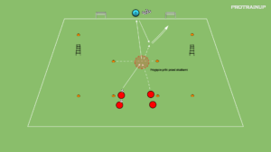 artykuły Kształtowanie szybkości (reakcja) + koordynacja