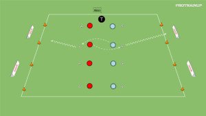 artykuły Lustro – szybkość z piłkami