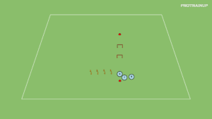 artykuły Moc (niskie – wysokie płotki)