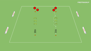 artykuły Moc + szybkość (drabinka koord.)