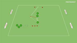 Read more about the article Motoryka – kompleks + szybkość reakcji