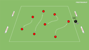 artykuły Numerowanka