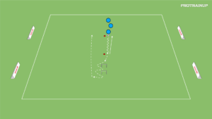 artykuły Rozgrzewka + MOC