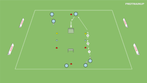 artykuły Siła – wstawka motoryczna