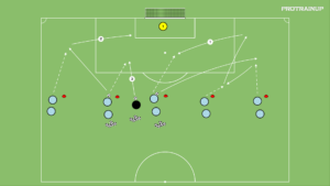 Read more about the article Strzelecki w 5 punktach