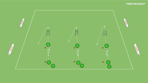 Read more about the article Szybkość (drabinka koordynacyjna)