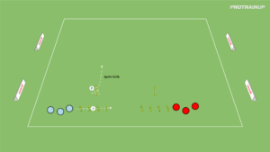 Read more about the article Szybkość + koordynacja
