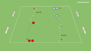 Read more about the article Szybkość + zwinność