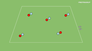 Read more about the article Taczki – zapasy – koguty
