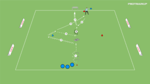 Read more about the article Zwinność zakończona strzałem