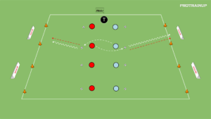 Read more about the article Lustro – szybkość z piłkami