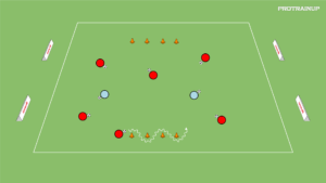 Read more about the article Berek – Lisek