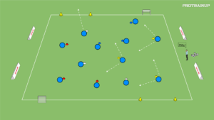 Read more about the article Berek kolory z elementami dryblingu