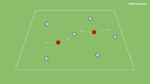 Read more about the article Berek + wstawki motoryczne