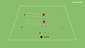 Read more about the article Motoryka – Szybkość reakcji + Siła