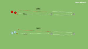 Read more about the article Szybkość + Zwinność (sztafeta)